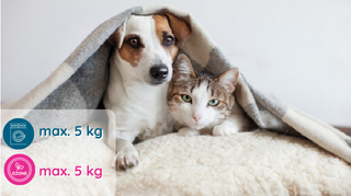 Pet clothes, blankets